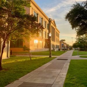 University Selection